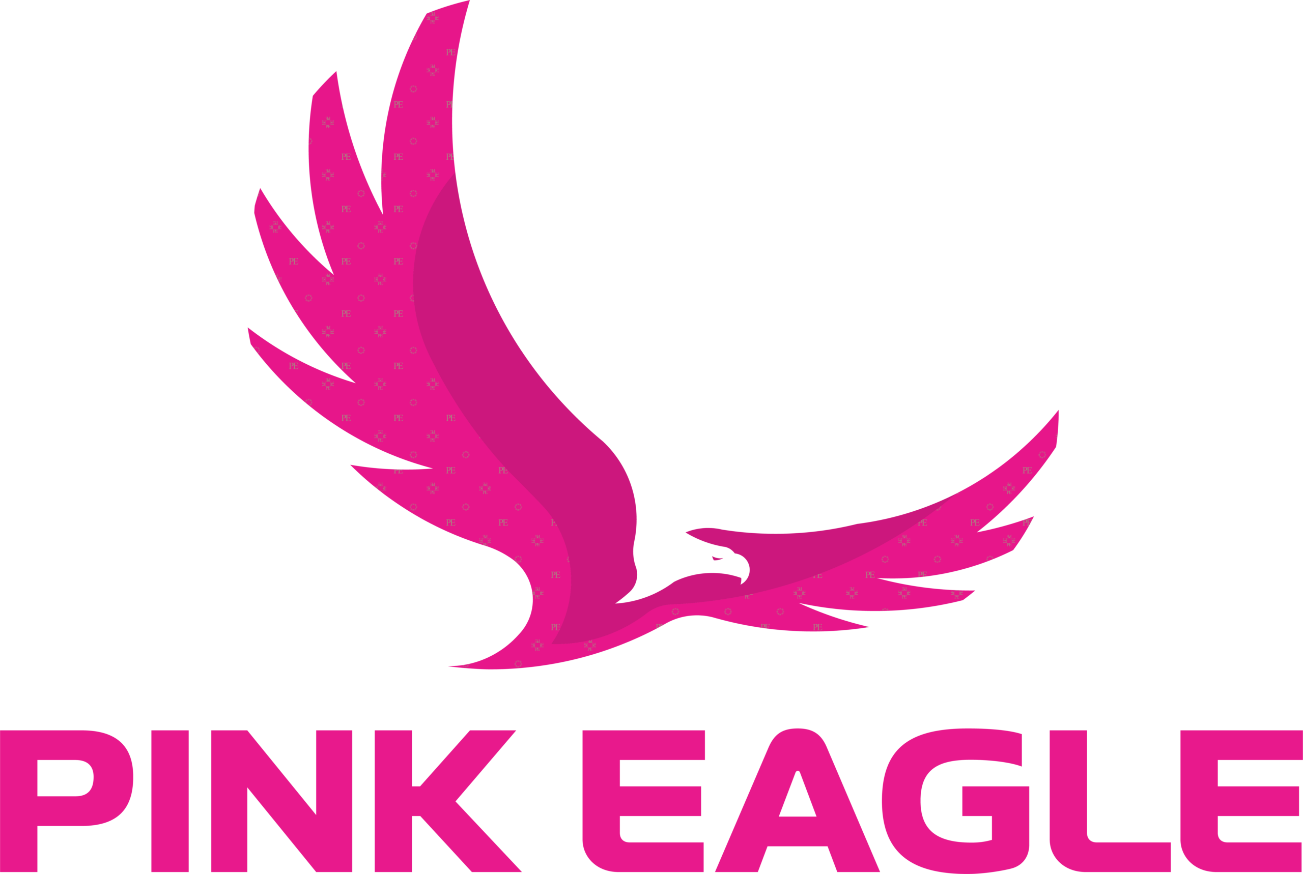 PINK EAGLE HOLDINGS (PVT) LTD
