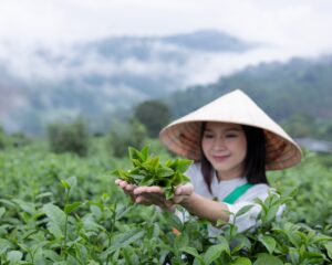 young-woman-shows-off-perfect-tea-tops-on-hand-sho-2024-12-07-20-19-20-utc